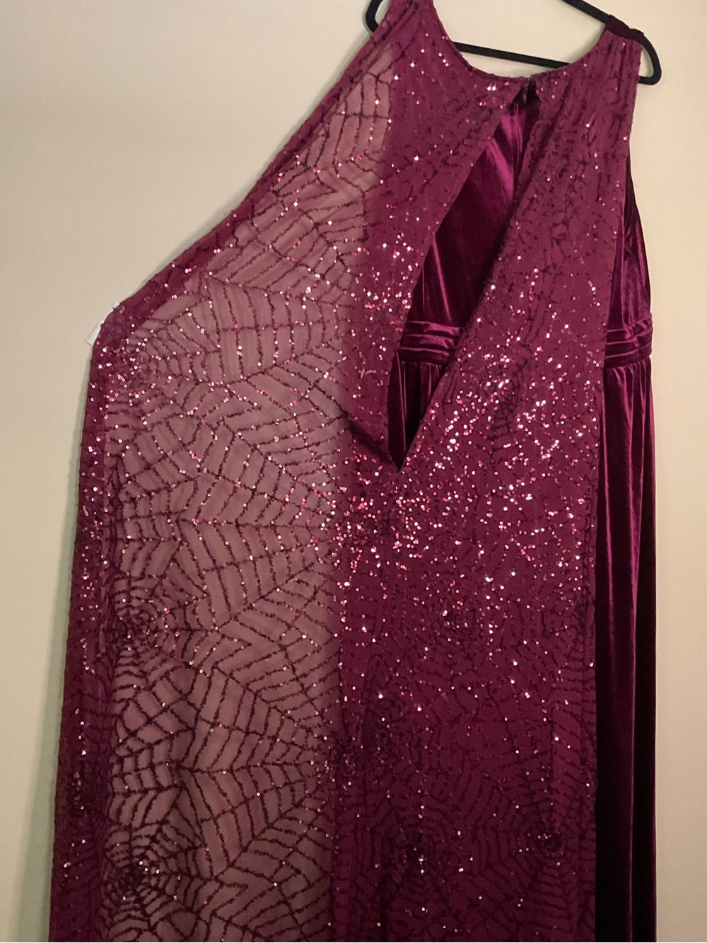Disney Hocus Pocus Plus Size Burgundy Velvet Costume - Picture 2 of 7